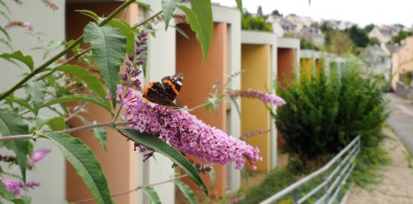 Studio étudiant – PLOURIN LES MORLAIX